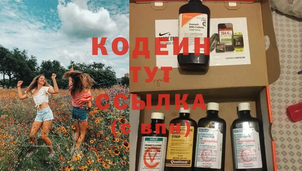 винт Абаза