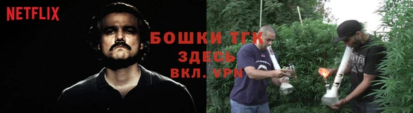 винт Абаза