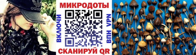 купить закладку Чкаловск Галлюциногенные грибы Magic Shrooms